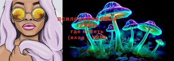 ешки Мегион
