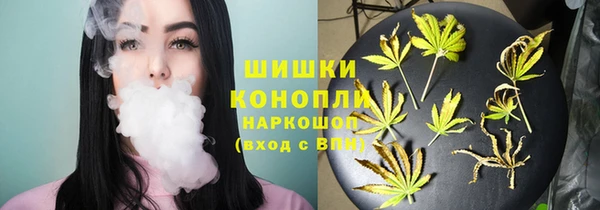 ешки Мегион