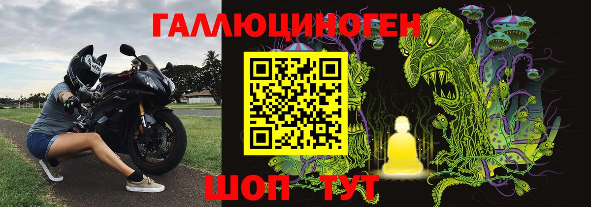 Галлюциногенные грибы Psilocybe Тейково